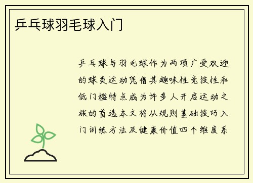 乒乓球羽毛球入门