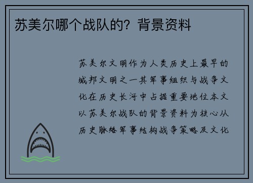 苏美尔哪个战队的？背景资料